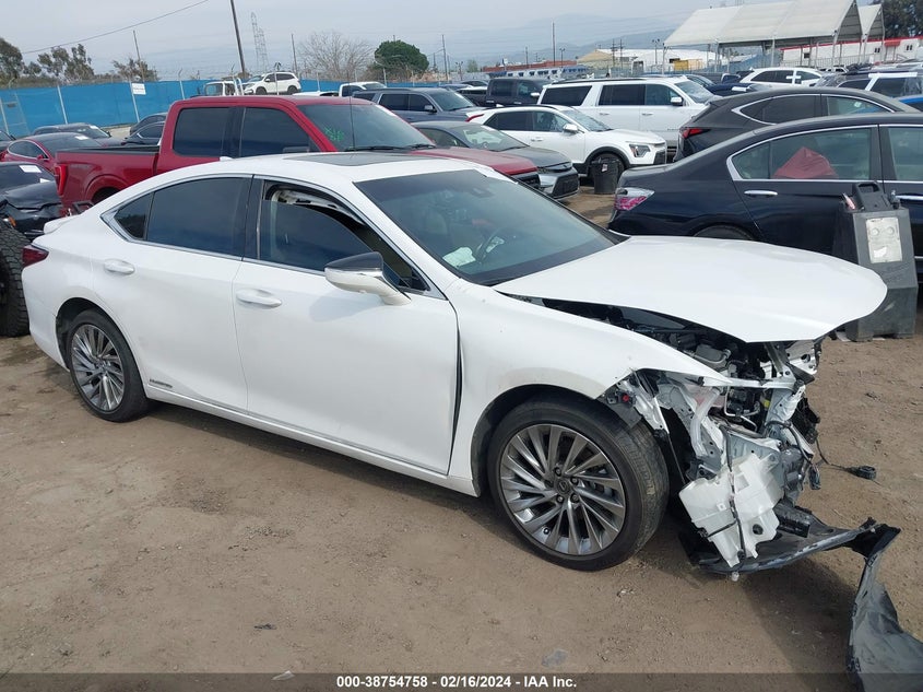 2021 LEXUS ES 300H LUXURY - 58AEA1C16MU003534