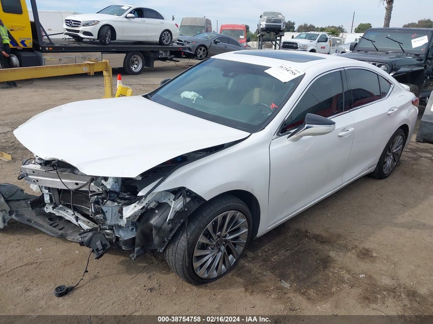 2021 LEXUS ES 300H LUXURY - 58AEA1C16MU003534
