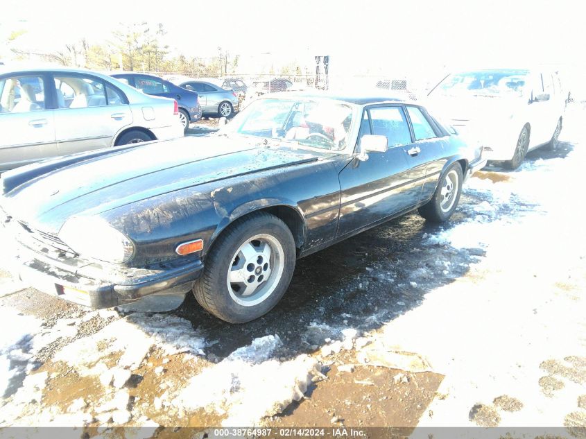 SAJNV5844FC124647 1985 Jaguar Xjs