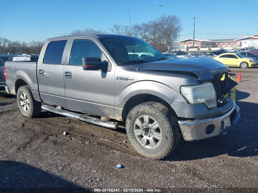 2010 FORD F150