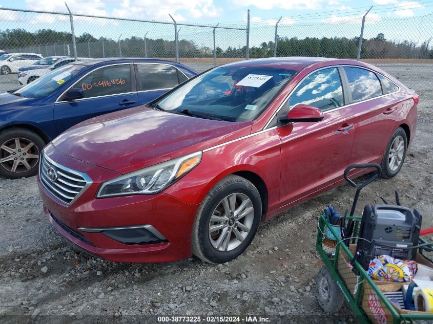 2016 Hyundai Sonata VIN: 5NPE24AF3GH407401 Lot: 38773225