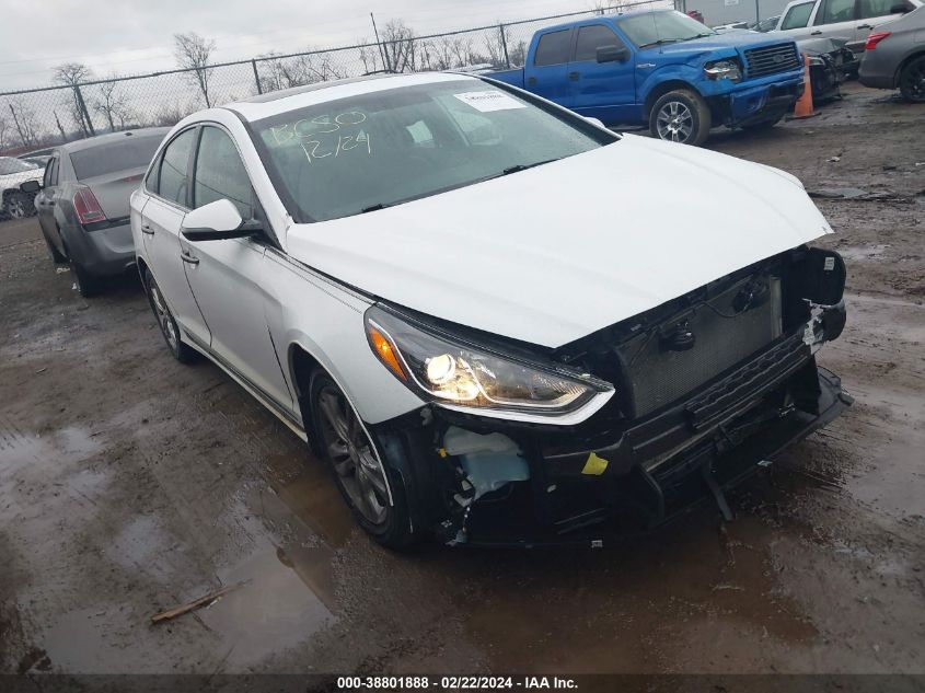 2019 Hyundai Sonata Sport VIN: 5NPE34AF8KH792900 Lot: 38801888