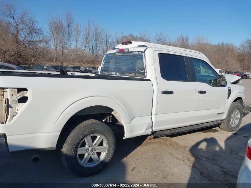 2021 Ford F-150 Xl VIN: 1FTFW1ED2MFB95810 Lot: 38807614