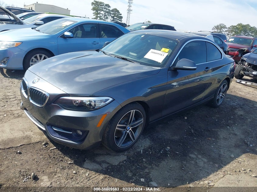 2017 BMW 230I VIN: WBA2F9C55HV664180 Lot: 38809583