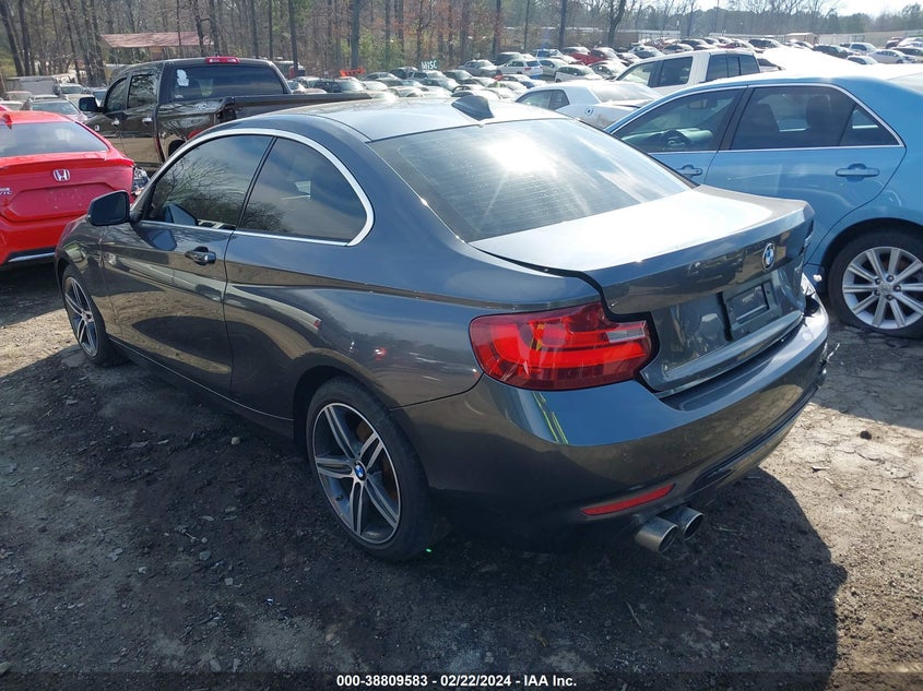 2017 BMW 230I VIN: WBA2F9C55HV664180 Lot: 38809583