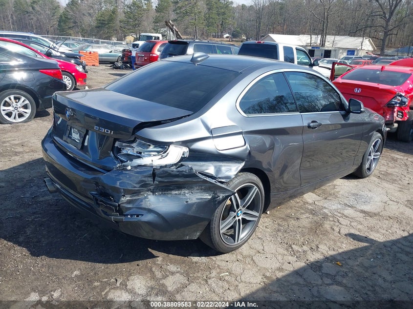 2017 BMW 230I VIN: WBA2F9C55HV664180 Lot: 38809583