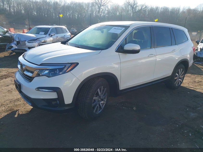 VIN 5FNYF5H53MB025688 2021 HONDA PILOT EXL
