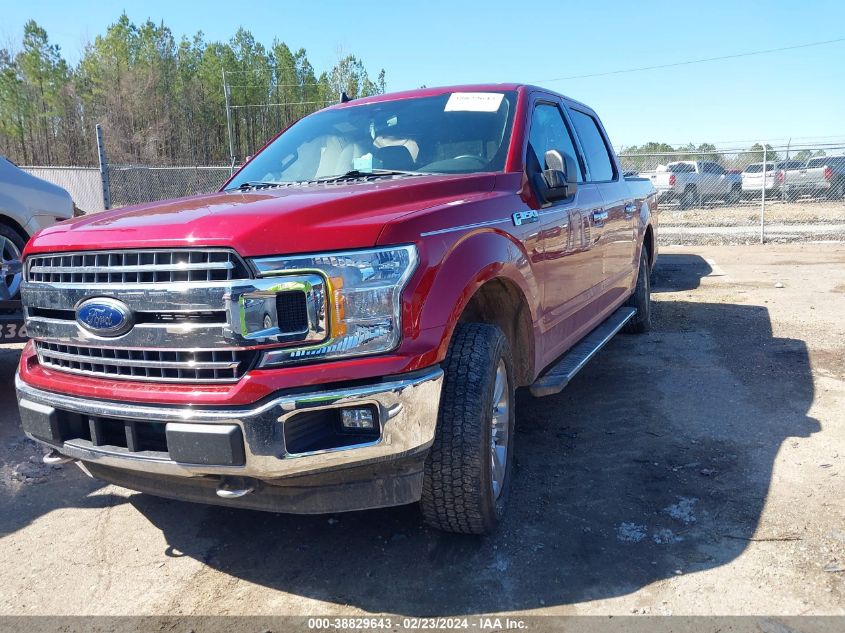 1FTEW1E45KFC84148 2019 FORD F-150 - Image 2