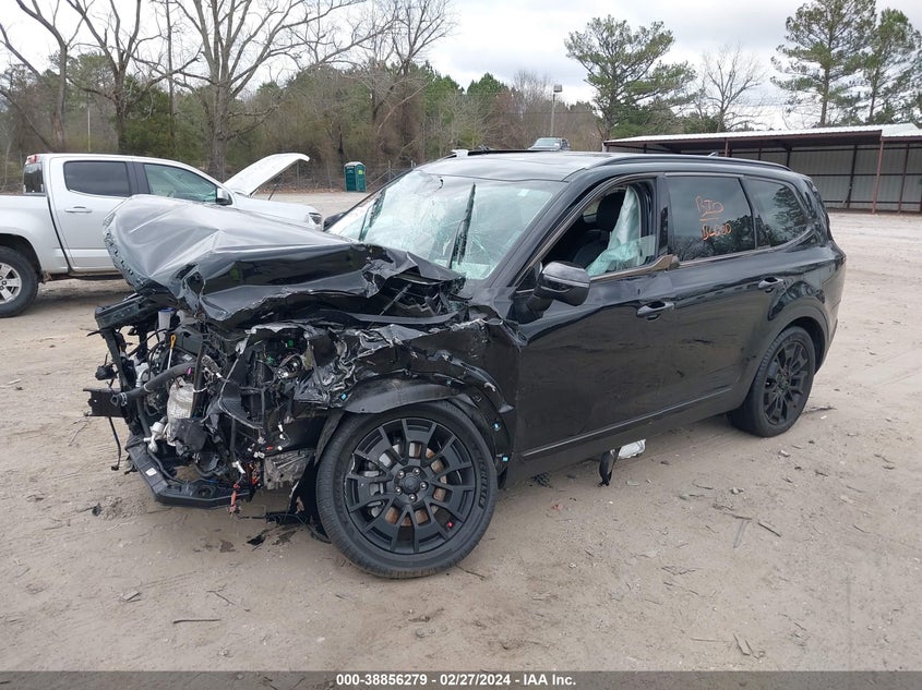 2021 Kia Telluride Ex VIN: 5XYP3DHC1MG104654 Lot: 38856279