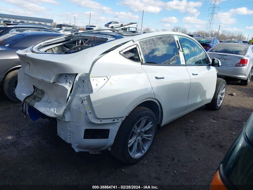 VIN 7SAYGDEE7PF809598 2023 TESLA MODEL Y