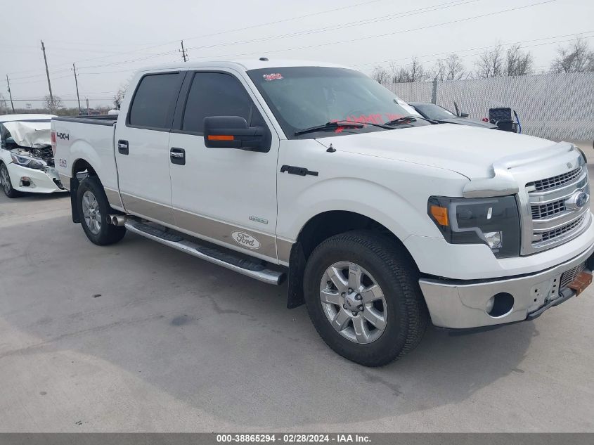 2013 Ford F-150 Xlt VIN: 1FTFW1ET7DKG10361 Lot: 38865294