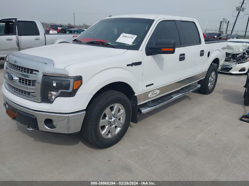 2013 Ford F-150 Xlt VIN: 1FTFW1ET7DKG10361 Lot: 38865294