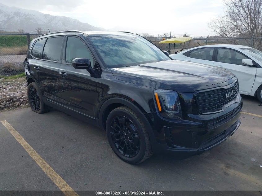 2022 Kia Telluride Ex VIN: 5XYP3DHC5NG219212 Lot: 38873220