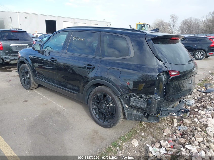 2022 Kia Telluride Ex VIN: 5XYP3DHC5NG219212 Lot: 38873220
