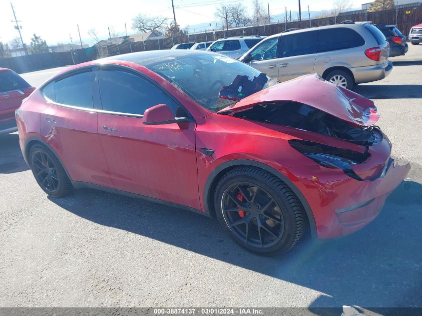 2023 TESLA MODEL Y - 7SAYGDEF3PF804035