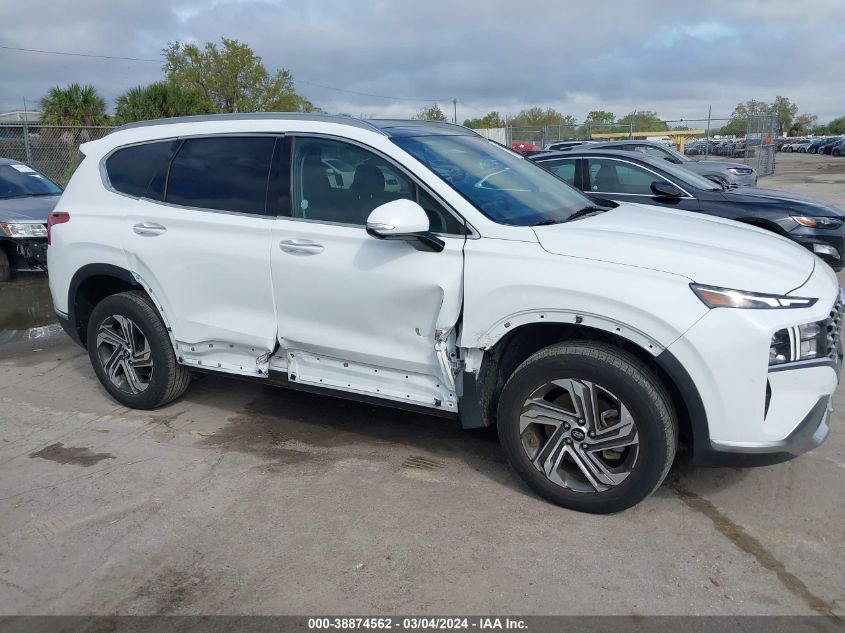 2023 Hyundai Santa Fe Sel VIN: 5NMS3DAJXPH531442 Lot: 38874562