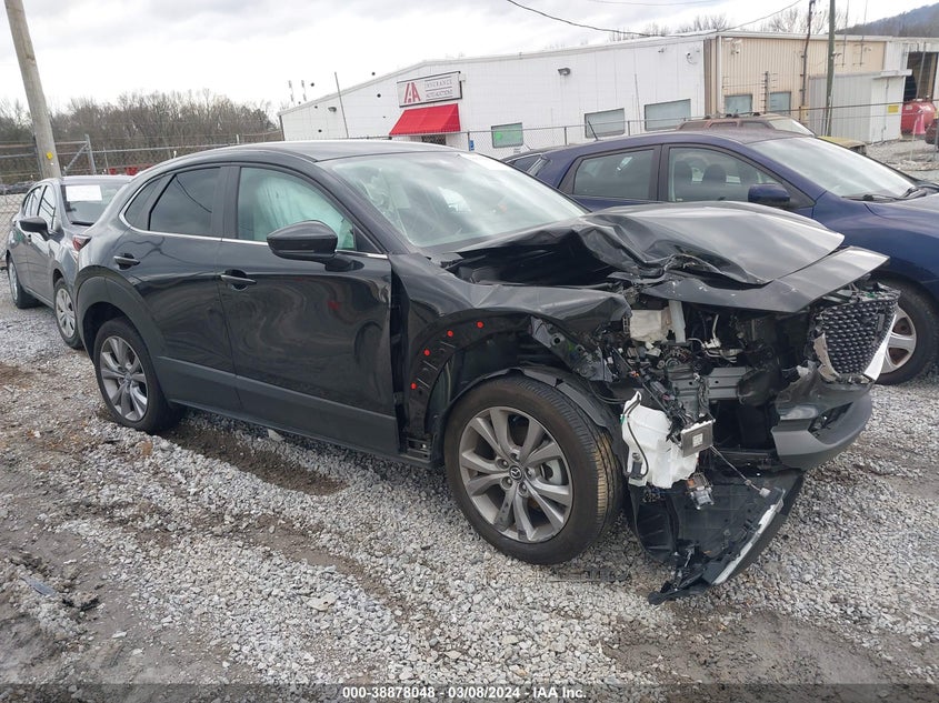 2023 MAZDA CX-30  (VIN: 3MVDMBBM9PM507924)