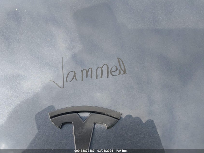 VIN 7SAYGDEE2PA159690 2023 TESLA MODEL Y