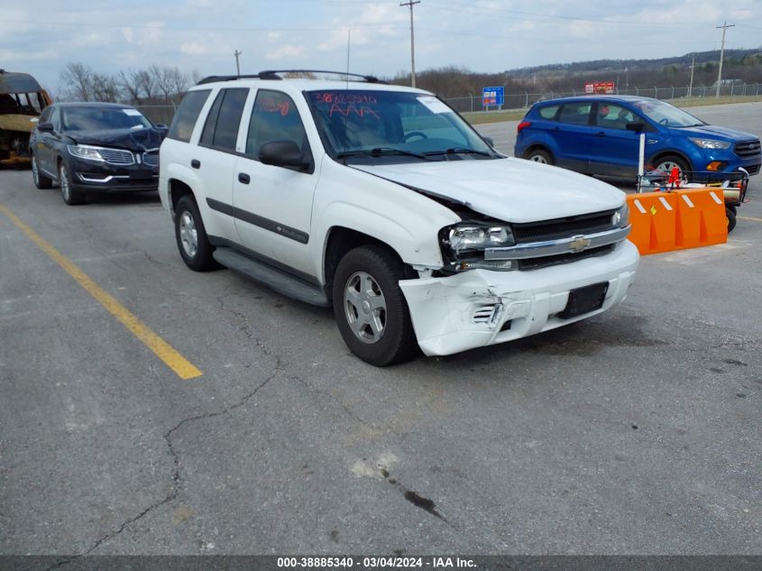 2003 Chevrolet Trailblazer Ls VIN: 1GNDT13S432318585 Lot: 38885340