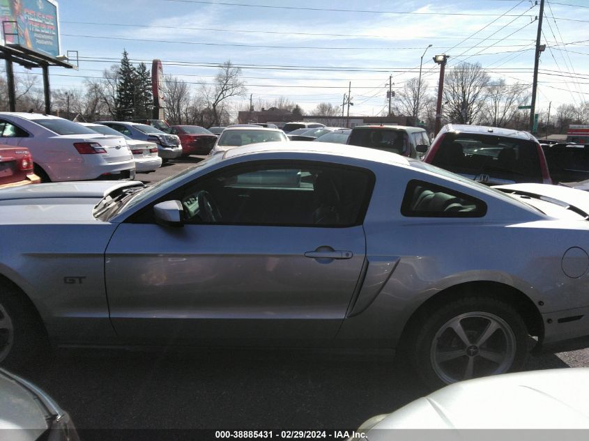 1ZVBP8CH9A5134561 2010 FORD MUSTANG, photo no. 14