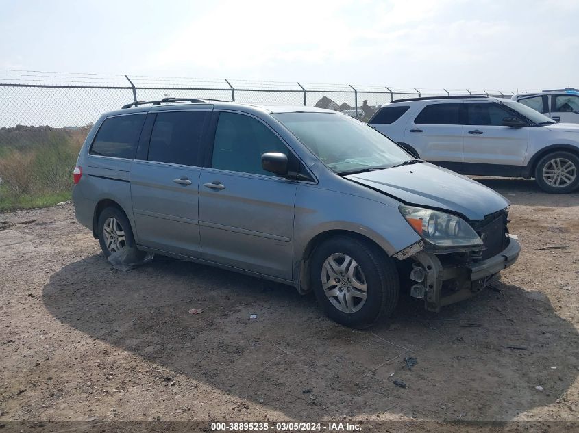 2005 Honda Odyssey Ex-L VIN: 5FNRL38755B134951 Lot: 38895235