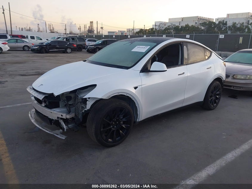 VIN 7SAYGDEE6PA024440 2023 TESLA MODEL Y