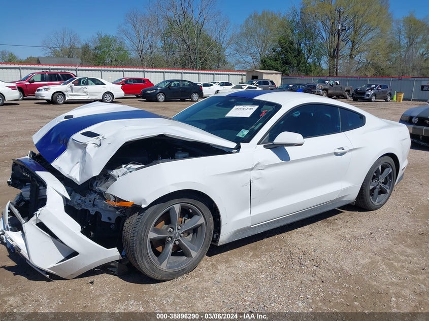VIN 1FA6P8TH7M5137442 2021 FORD MUSTANG
