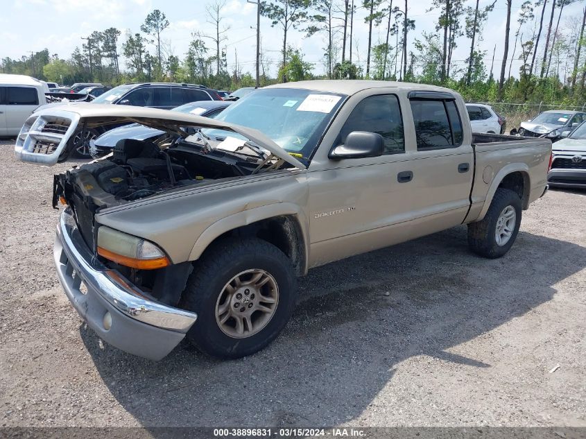 2002 Dodge Dakota Slt VIN: 1B7HG48N32S645920 Lot: 38896831