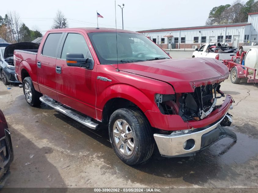 2013 FORD F-150 XLT - 1FTFW1CF8DKD20496