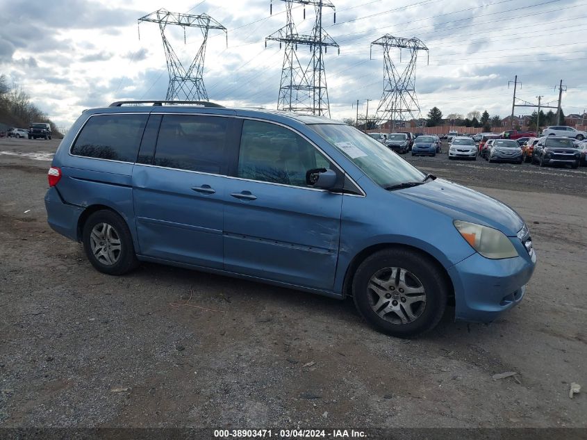 2005 Honda Odyssey Ex-L VIN: 5FNRL38725B129044 Lot: 38903471