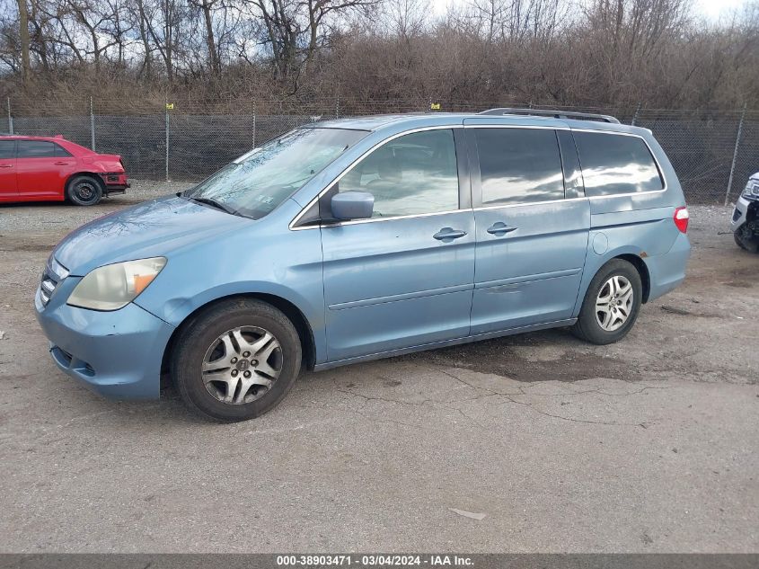 2005 Honda Odyssey Ex-L VIN: 5FNRL38725B129044 Lot: 38903471