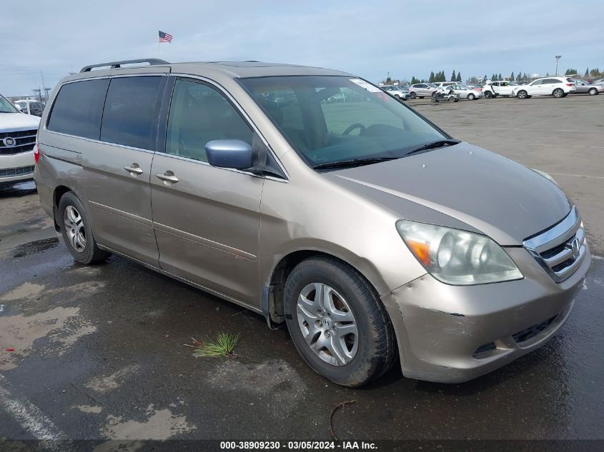 2005 Honda Odyssey Ex-L VIN: 5FNRL38725B065765 Lot: 38909230