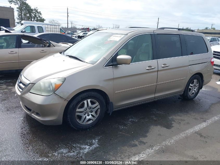 2005 Honda Odyssey Ex-L VIN: 5FNRL38725B065765 Lot: 38909230