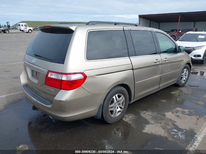 2005 Honda Odyssey Ex-L VIN: 5FNRL38725B065765 Lot: 38909230