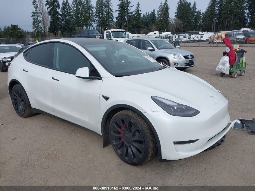 2023 TESLA MODEL Y - 7SAYGDEF1PF767566