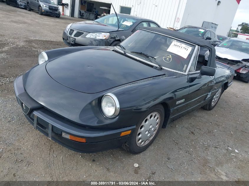 1990 Alfa Romeo Spider Quadrifoglio VIN: ZARBA12TXL6002252 Lot: 38911791