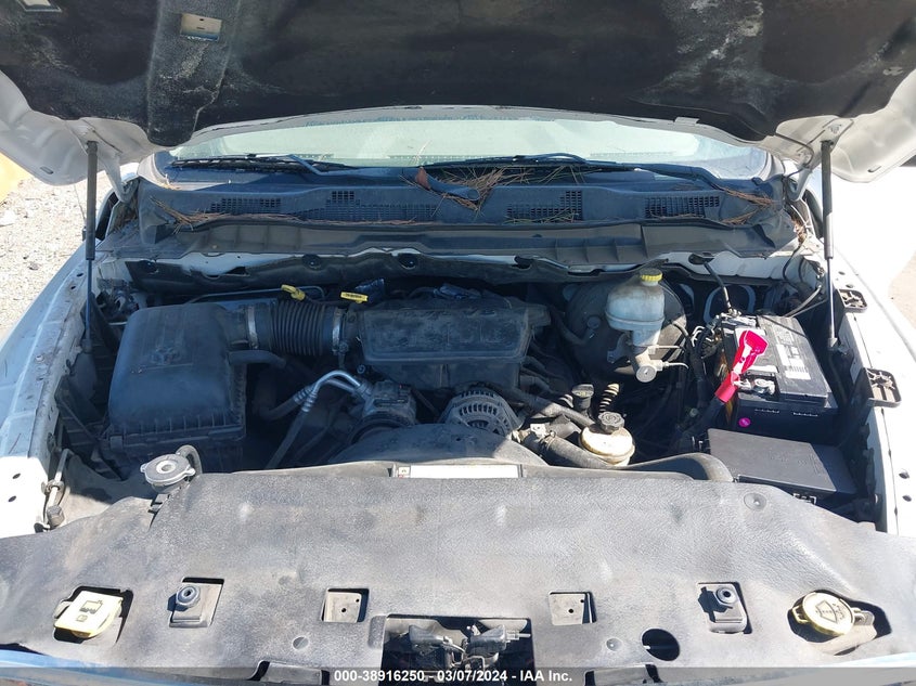 2009 Dodge Ram 1500 Slt/Trx VIN: 1D3HV16P99J516807 Lot: 38916250