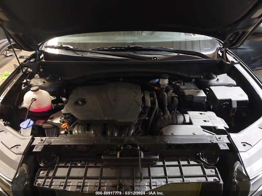 2024 HYUNDAI TUCSON SE - 5NMJACDEXRH317631