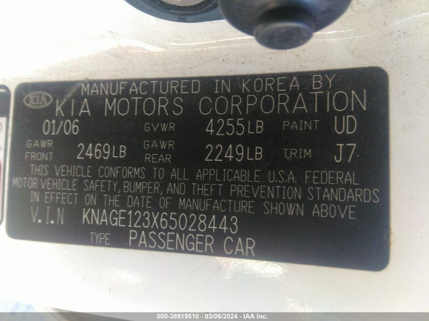 2006 Kia Optima Ex (New)/Lx (New) VIN: KNAGE123X65028443 Lot: 38919510