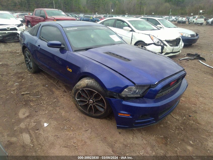 2013 FORD MUSTANG GT - 1ZVBP8CF2D5225920