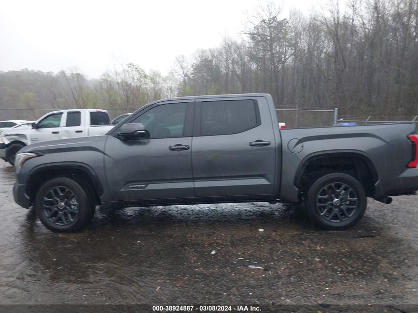 2024 TOYOTA TUNDRA PLATINUM - 5TFNA5AB0RX030538