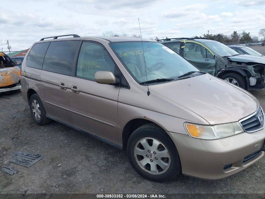 2004 Honda Odyssey Ex-L VIN: 5FNRL18994B107031 Lot: 38933352