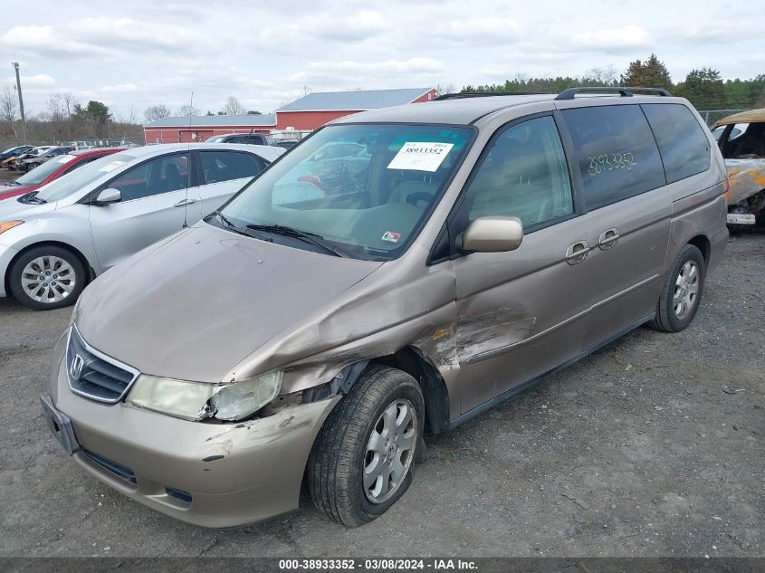 2004 Honda Odyssey Ex-L VIN: 5FNRL18994B107031 Lot: 38933352