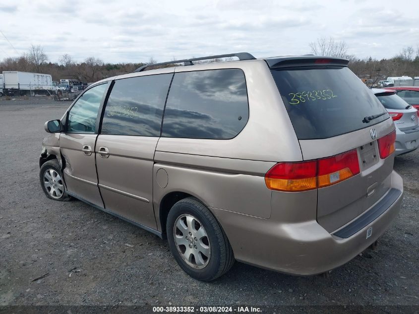 2004 Honda Odyssey Ex-L VIN: 5FNRL18994B107031 Lot: 38933352