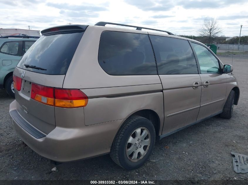 2004 Honda Odyssey Ex-L VIN: 5FNRL18994B107031 Lot: 38933352