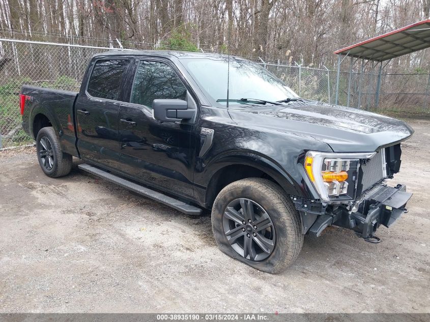 2023 FORD F-150 XLT - 1FTFW1E8XPFA74207