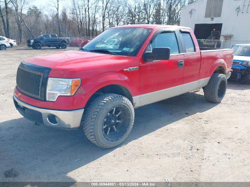 1FTFX1EF1BFA30021 | 2011 FORD F-150