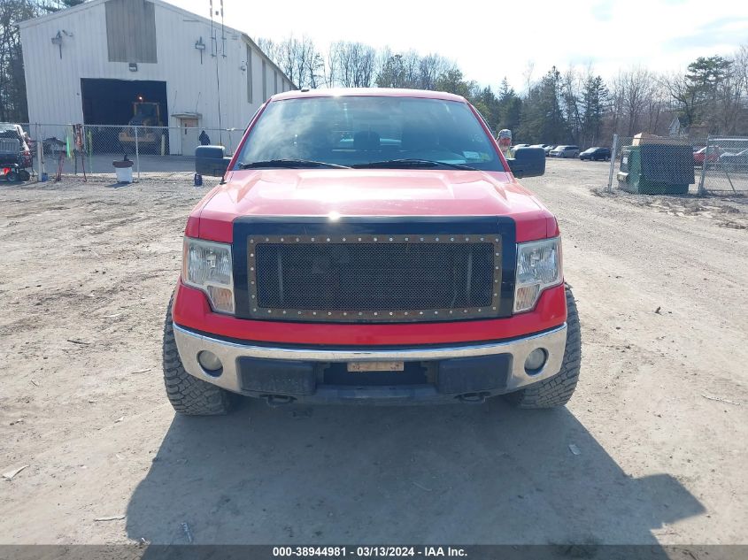 1FTFX1EF1BFA30021 | 2011 FORD F-150