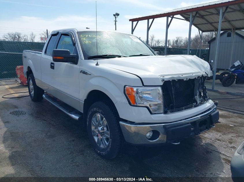 2011 Ford F-150 Xlt VIN: 1FTFX1EF3BFB69325 Lot: 38945630