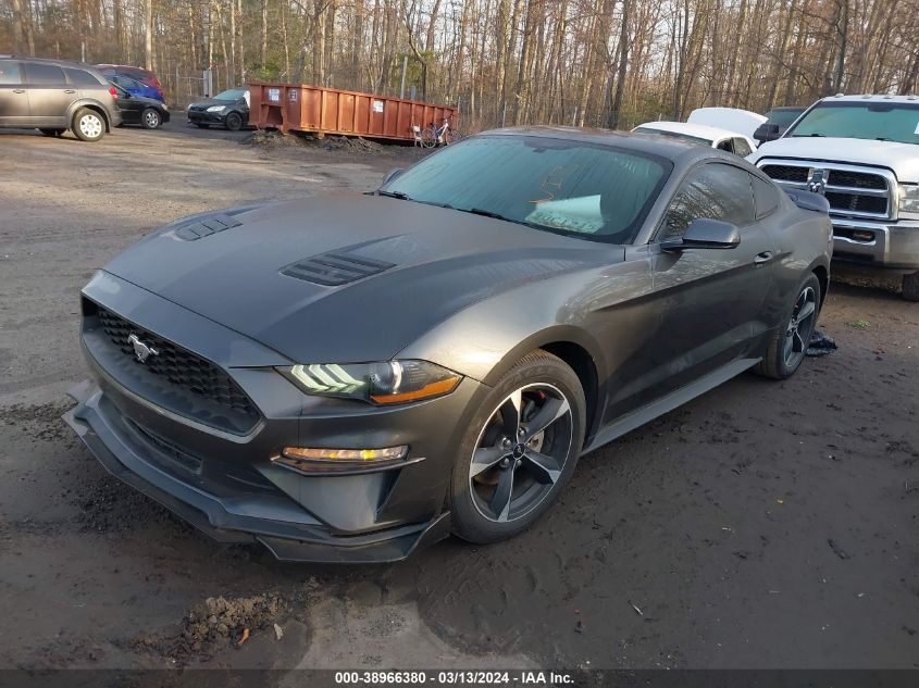 1FA6P8TH0K5192716 | 2019 FORD MUSTANG